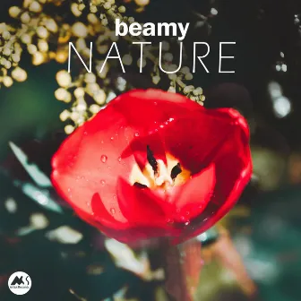 Nature by Beamy