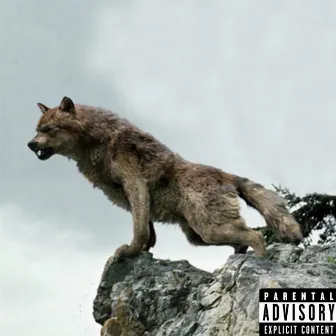 El Lobo Malo by Lil Hot