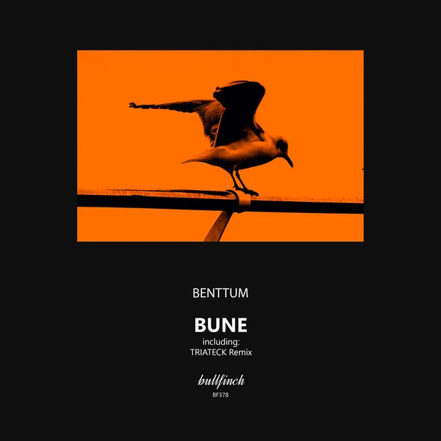 Bune - Triateck Remix