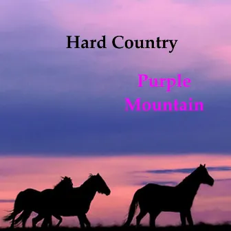 Hard Country by Purple Mountain