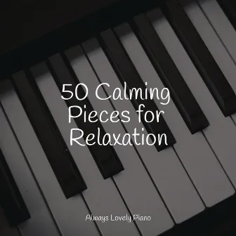 50 Wind Instrument Sounds to Relax to by Piano Music for Exam Study