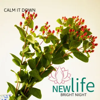 Calm It Down by Bright Night