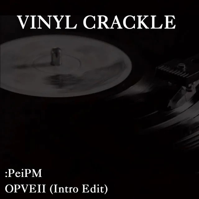 Vinyl Crackle