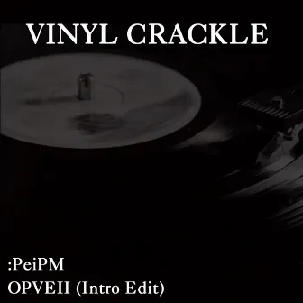 Vinyl Crackle by OPVEII