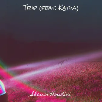 Trip by Shawn Houdini