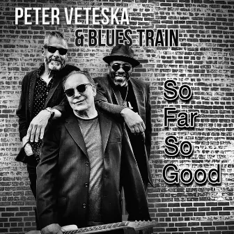 I Miss You So by Peter Veteska & Blues Train