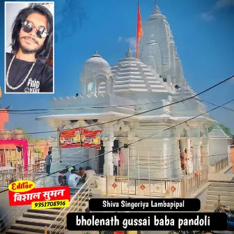 bholenath gussai baba pandoli by 