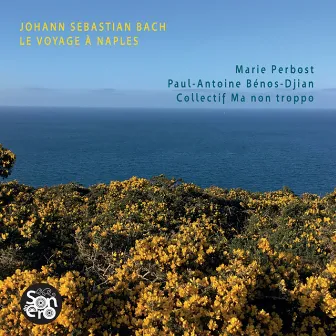 Johann Sebastian Bach - Le voyage à Naples by Louis Creac'h