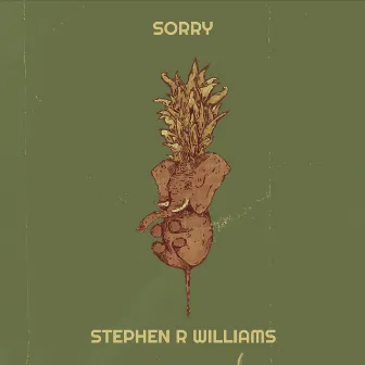 Sorry by Stephen R Williams