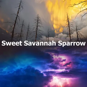 Sweet Savannah Sparrow by Calm Bird Sounds