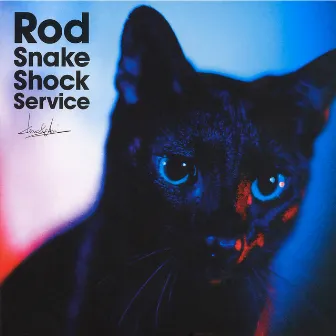 Rod Snake Shock Service by Kenichi Asai