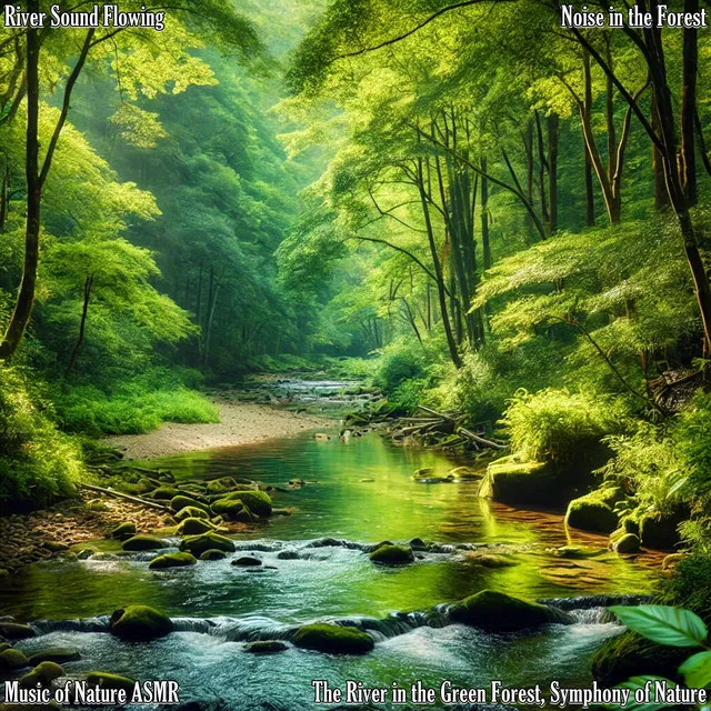 The Flow of Water, the Green Forest in Melody