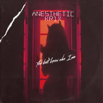 You don't know who I am by Anesthetic