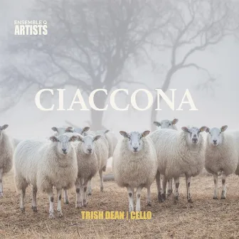 Ciaccona by Trish Dean