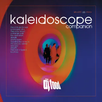 Kaleidoscope Companion by DJ Food