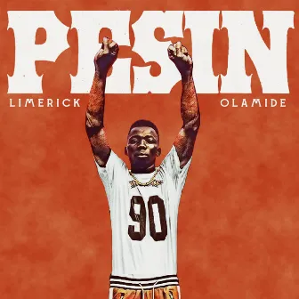 Pesin by Limerick