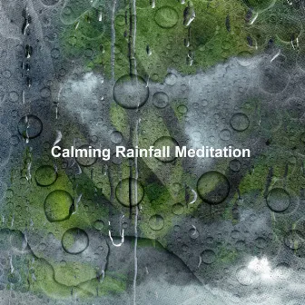 Calming Rainfall Meditation by Calming Nature Sounds