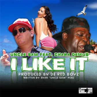 I Like It (Feat. Chaka Demus) by Uncle Sam