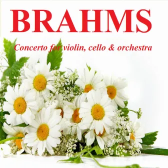 Brahms - Concerto for violin, cello & orchestra by Amsterdam Philharmonic Orchestra