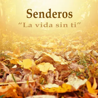 La vida sin ti by Senderos