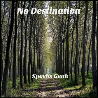 No Destination by Speeks Geak