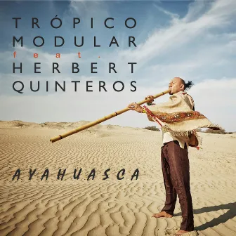 Ayahuasca by Tropico Modular