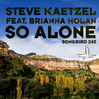 So Alone by Steve Kaetzel