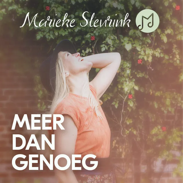 Meer dan genoeg