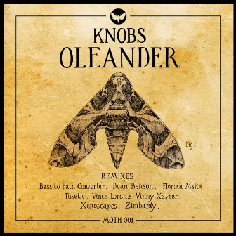 Oleander (Remixes) by Knobs