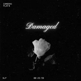 Damaged by Larry Lemuel