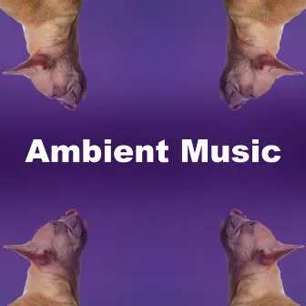 Ambient Music by Dog's Music