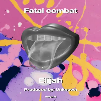 Fiddle Combat: Unexpected Battles with Mortal Kombat World! by Elijah