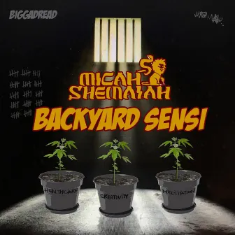 Backyard Sensi by Micah Shemaiah