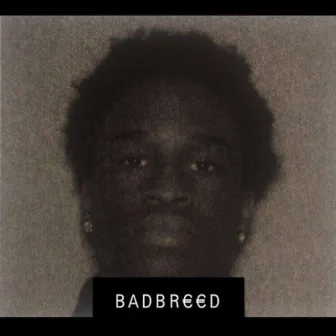 Badbreed by Badbreedkenzo