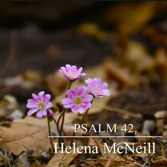 Psalm 42 by Helena McNeill