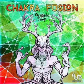 Chakra Fusion by Organic Soup