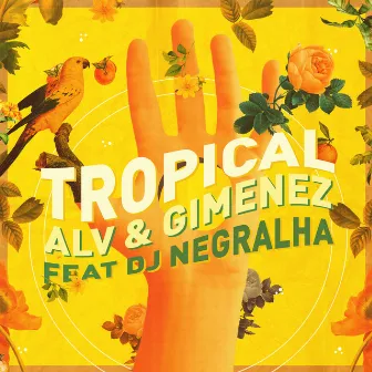 Tropical by ALV