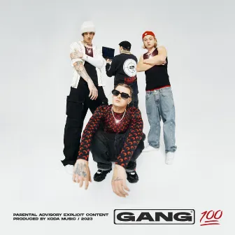 GANG100 by Massima