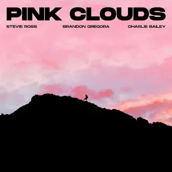 Pink Clouds by Stevie Ross