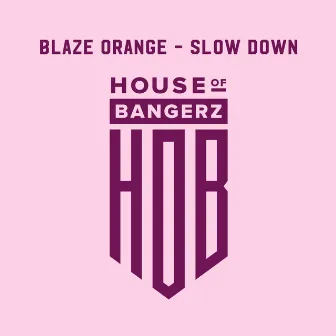 Slow Down by Blaze Orange