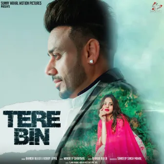 Tere Bin by Bobby Layal