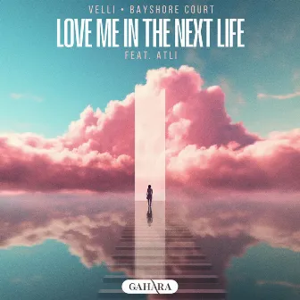 Love Me In The Next Life by Velli