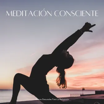 Meditación Consciente: Ritmos Binaurales Para La Relajación by Rey de la meditación