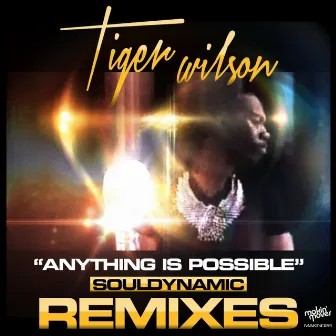 Anything Is Possible (Souldynamic Remixes) by Tiger Wilson