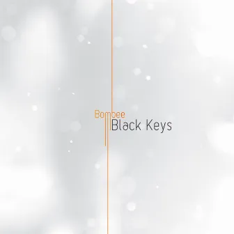 Black Keys by Bombee