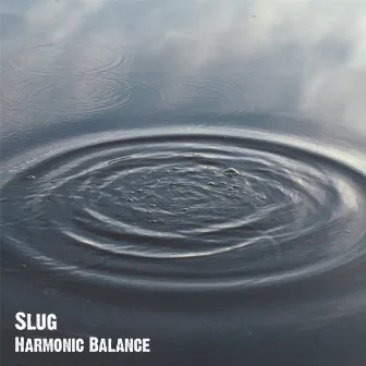 Harmonic Balance by Slug