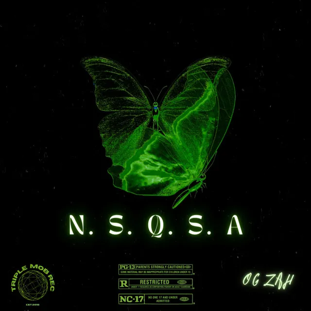 N. S. Q. S. A