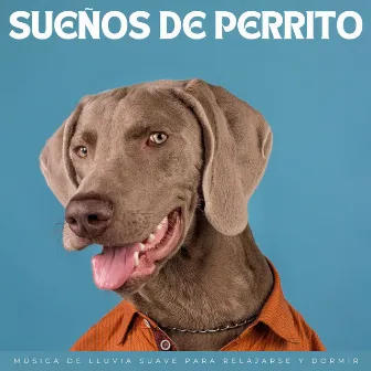 Sueños De Perrito: Música De Lluvia Suave Para Relajarse Y Dormir by Música para perros de moda