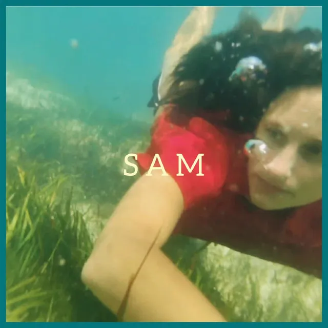 SAM