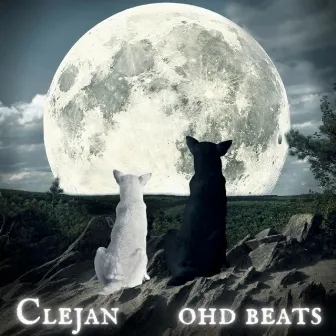 Two Wolves by Ohd Beats